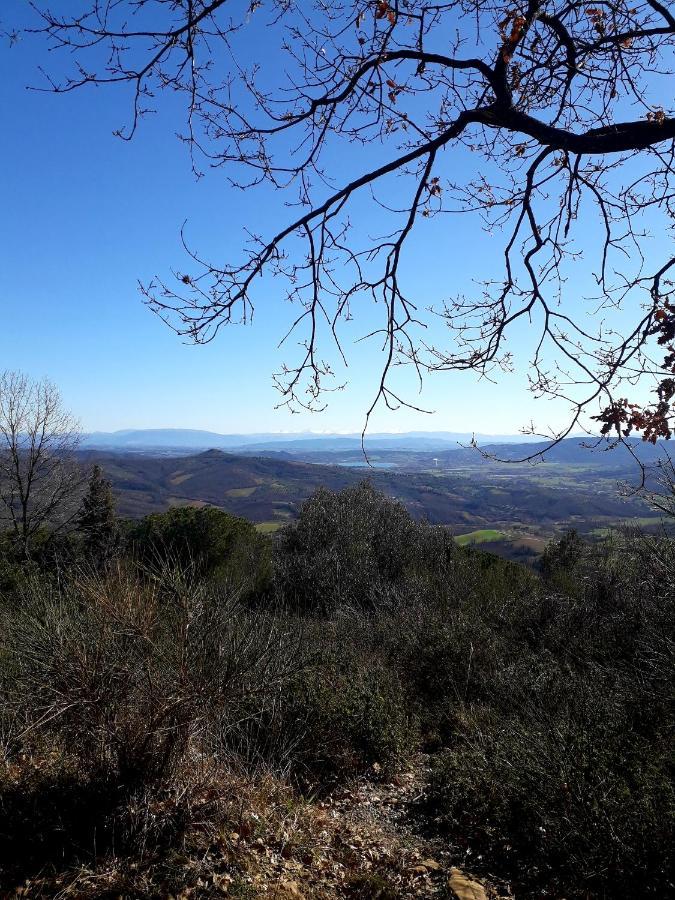 Il Vecchio Frantoio Villa Panicale Exteriör bild
