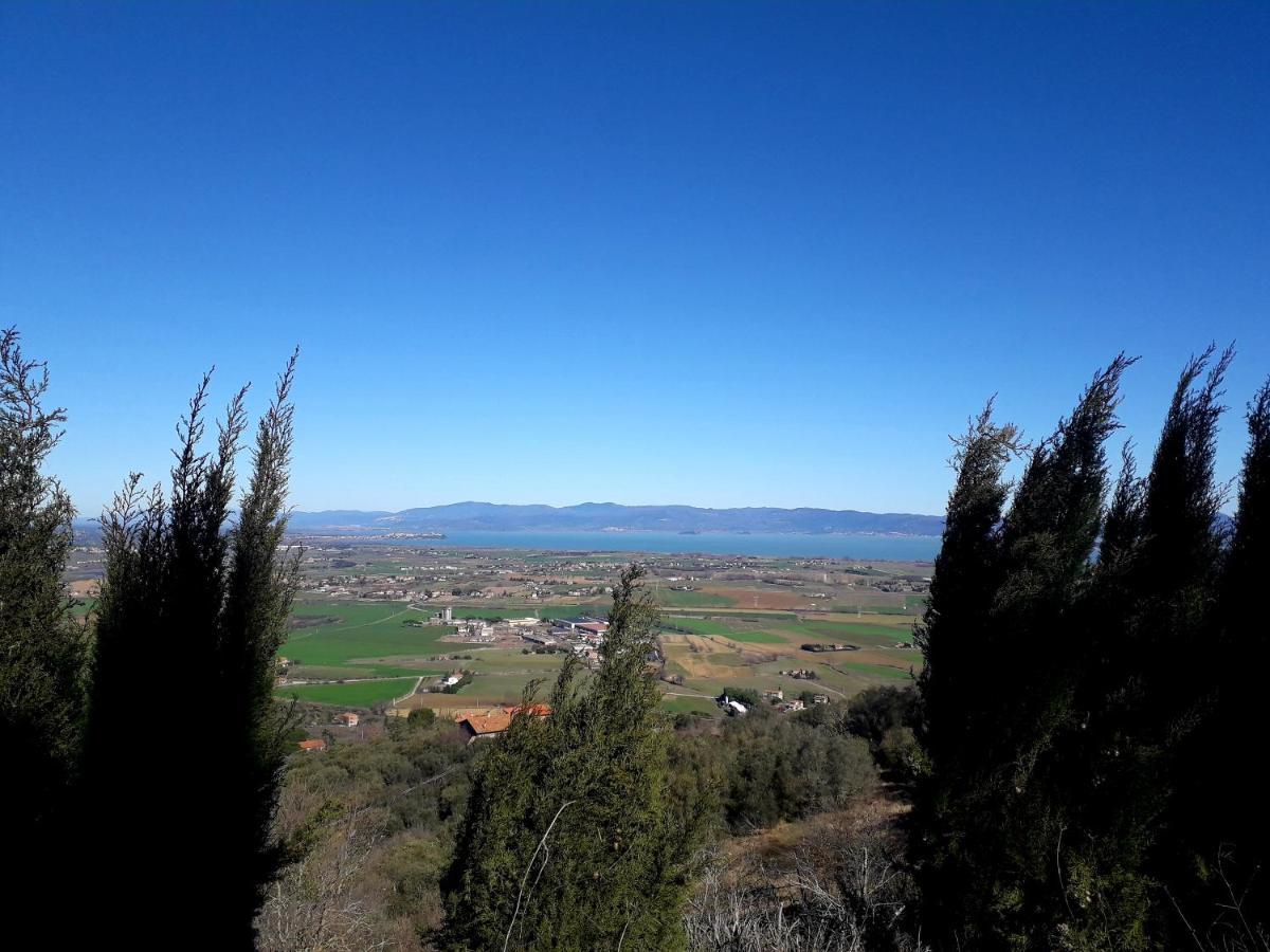 Il Vecchio Frantoio Villa Panicale Exteriör bild